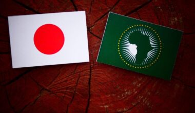 JICA to designate four Japanese cities as 'hometowns' for African nations