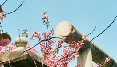 🎞️ japan may 2025 🇯🇵