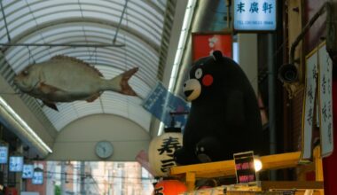 A stroll inside the Kuromon Market, Osaka last week. 🐟