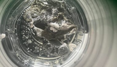 What is this that grew in my Rice Vinegar?