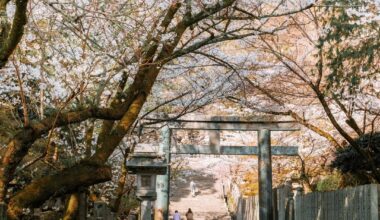 [OC] Japan in Focus, Spring - Day 11: Kotohira