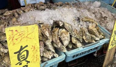 Had fresh oysters at a seafood market in Ibaraki ,Just about $3.3 each (¥500).