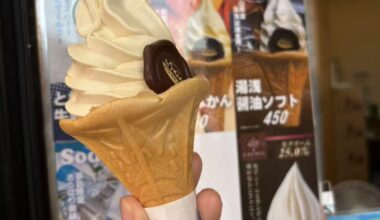 Tried soy sauce ice cream for the first time