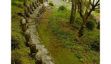 Mountain Shrines in Kochi