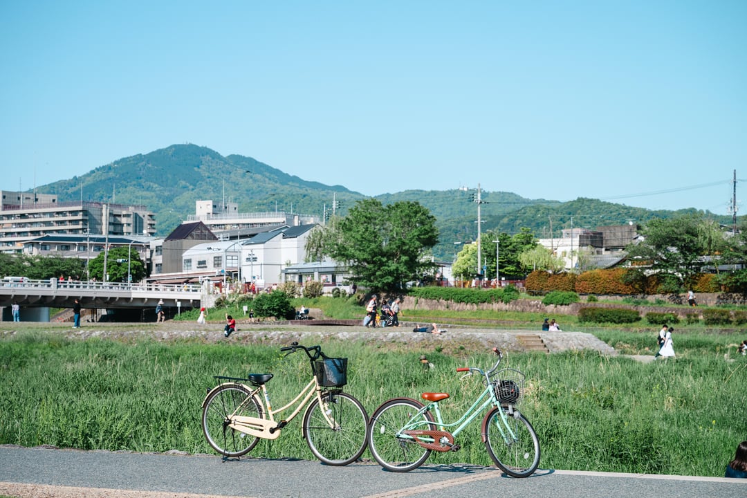 Summer of Kamo River, Kyoto
