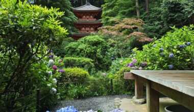 Basin full of hydrangeas at the Gansen-ji Temple, Kizugawa City, Kyoto Prefecture [OC]