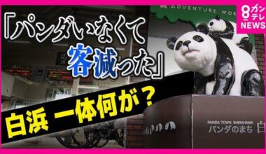 Hotel guest numbers down by 10,000 after four pandas returned to China from Adventure World in Shirahama