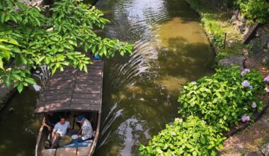 Hydrangeas along the Hachiman-bori Moat, Ōmihachiman City, Shiga Prefecture [OC]
