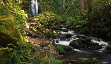 Found these waterfalls along the Oirase Stream