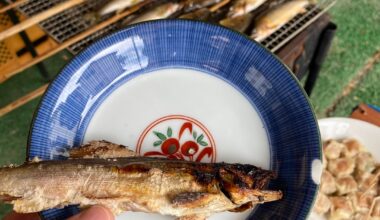 Ayu BBQ from a few summers ago and homemade Gohei mochi