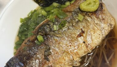 Homemade mackerel soba noodles