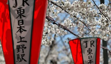 Tokyo 🎌🇯🇵 Spring 2025