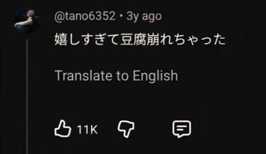 What does 豆腐崩れちゃった mean in this comment?