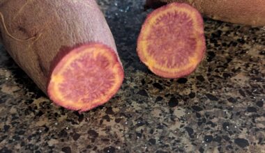 What the heck are these potatos?