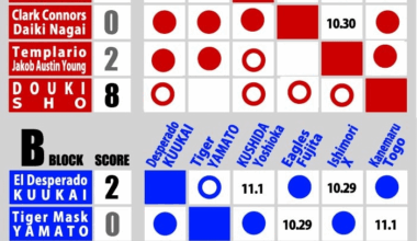 Super Jr Tag League Current result (DAY 5)