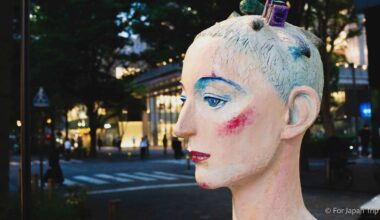 Creative looks in the road