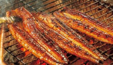 Charcoal-grilled eel (kabayaki style)