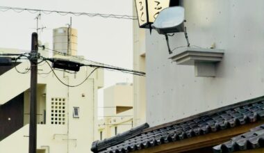 A wonderful week ( first time ln Japan)