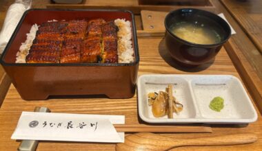 A simple unagi set hits different in hakone’s cold weather and gorgeous views