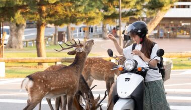 a month in Japan, aug (6)-September(4)