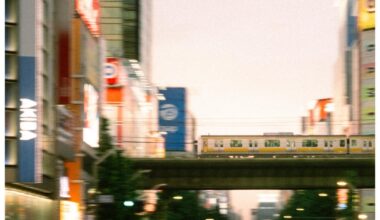 I love trains! These are some that I spotted back in June