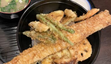 When your tempura is too big for the bowl