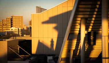 Selfie shadow, Sumida City, Tokyo
