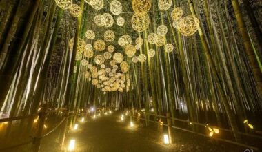 Arashiyama Tsukitouro Moonlight Lantern Walk event evenings until Oct. 30