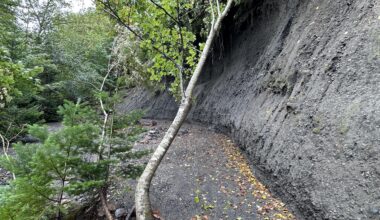 Before the Moss Corridor