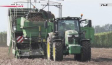 Workers wanted: Depopulation threatens Japan's farms