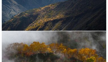 Fall season montage from Hakuba, Nagano