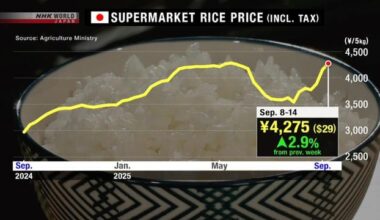 Rice prices in Japan's supermarkets near record high