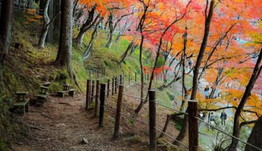 When in Nagoya-Kyoto-Shirakawa-Matsumoto-Tokyo