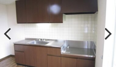 Why do Japanese kitchens have huge kitchen sinks but very little counter space?
