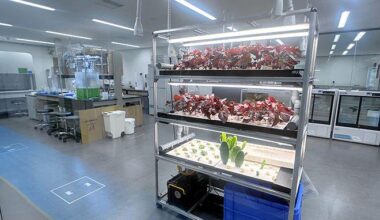 Labs opening in central Tokyo, leaving behind suburban areas