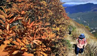 JMA Forecast Predicts Short Autumn This Year; Temperatures to Drop Sharply in Late November