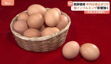 High egg prices expected to remain high until the end of the year caused by bird flu and popularity of "tukimi" items  in fall