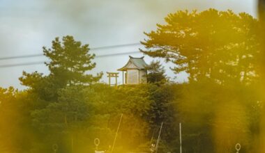 Kuroshio Town - Kochi