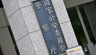 Harsher penalties urged as smartphone-related distracted driving accidents rise in Japan