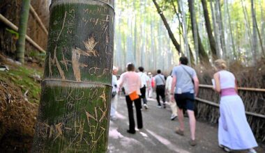 Kyoto struggling with tourists defacing beloved bamboo forest