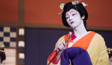 Hit kabuki film breathes new life into Japan’s theatres
