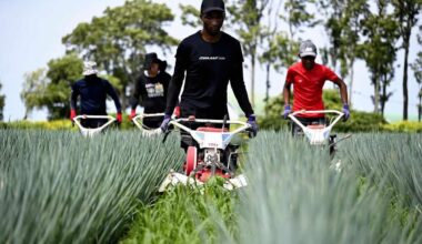 Japan Paying Close Attention to Madagascar, Other African Countries as Source of Workers for Agricultural Industry