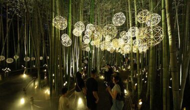 Residents bring back light show to Kyoto’s famed bamboo path
