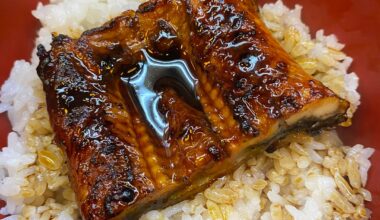 Unagi Don