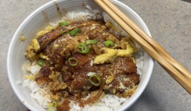First Katsudon :)
