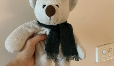 Left my teddy behind in Tokyo