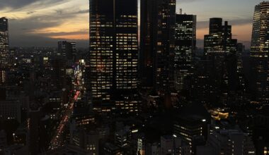 Views from Tokyo Tower, today at dusk.