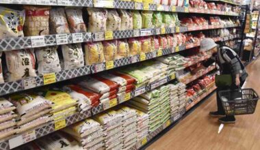 Rice Prices in Japan Go Up Again, Effects of Releasing Govt-Stockpiled Rice Wanes after 3 Months