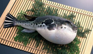 Is fugu worth trying? Tell us about your experience. What does it taste like?