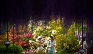 Ashikaga Flower Park